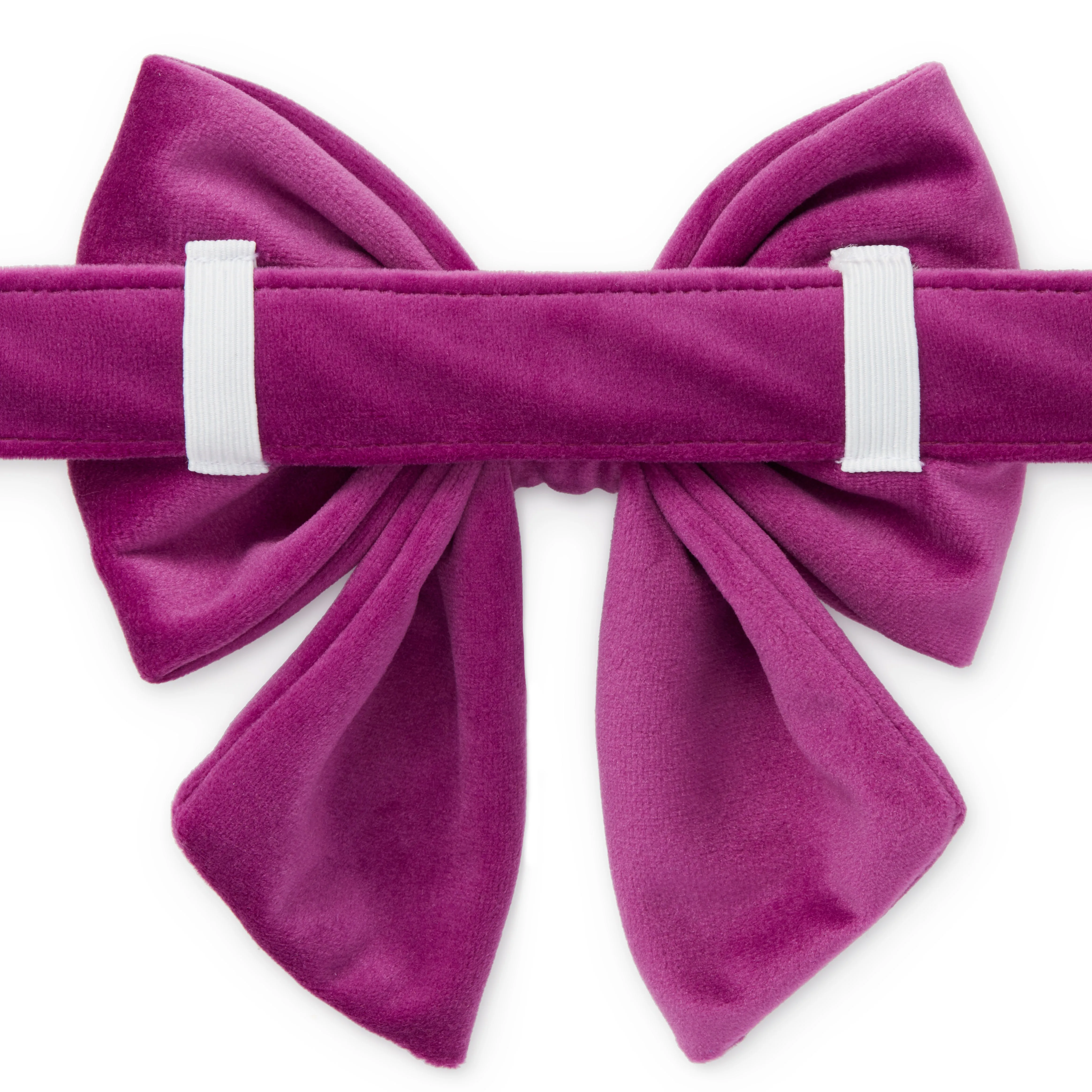 Dog and Cat Lady Bowtie: Plum Velvet